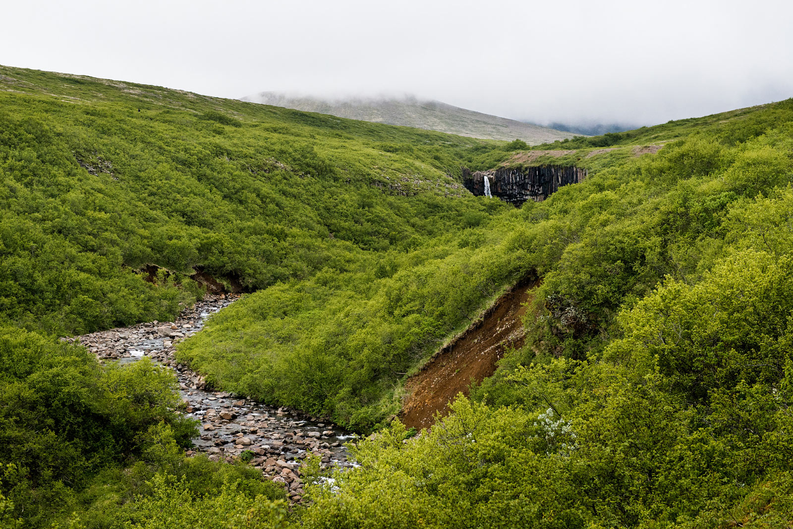 Svartifoss